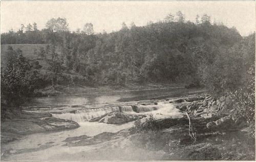 Austin's Glen