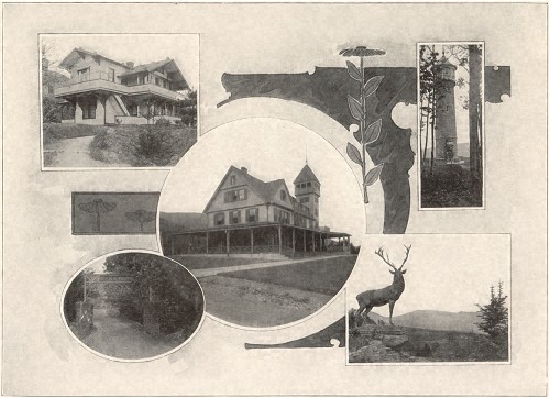 Views Of Elka Park