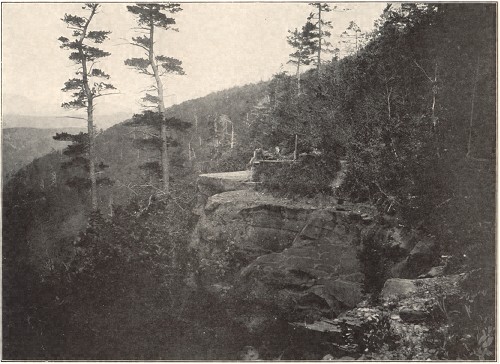 Artist's Rock