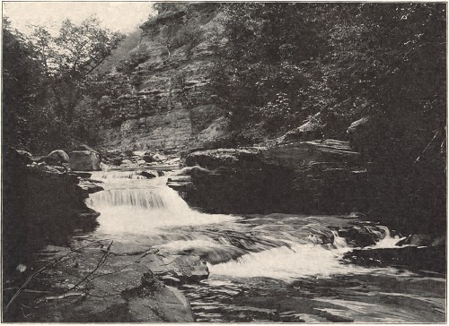 Ravine Falls