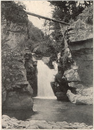 Fawn's Leap