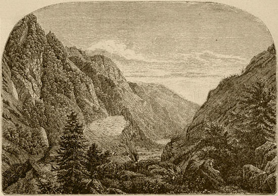 Woodland Valley, From Mount Wittenberg