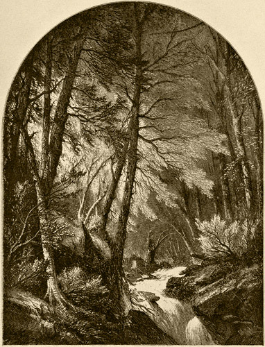 Cauterskill (Kaaterskill) Brook At Dawn