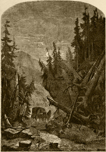 Coming Through The Notch