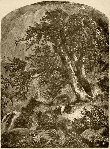 Storm In Cauterskill (Kaaterskill) Clove