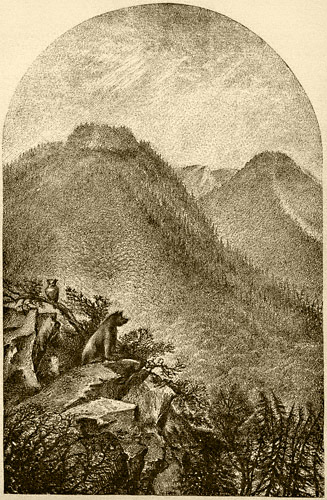 Mount Cornell - Elevation 3920 ft.