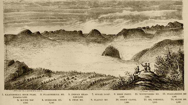 Panorama As Viewed From Black Dome