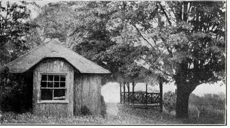 The bark study and summer house