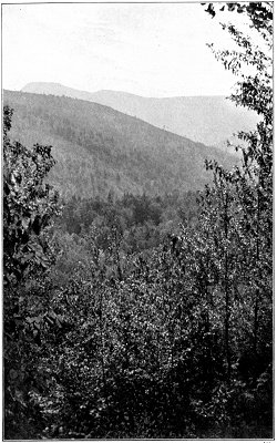 A Distant View Of Slide Mountain