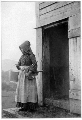 Waiting For The Cows