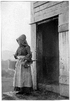 Waiting For The Cows