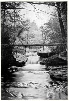 A Trout Stream