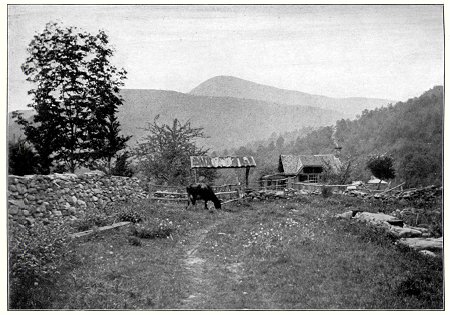 The Wittenberg From Woodland Valley