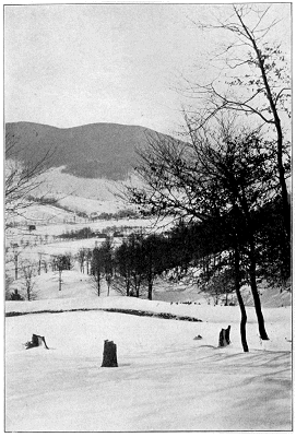 The Downlook From A High Hillside