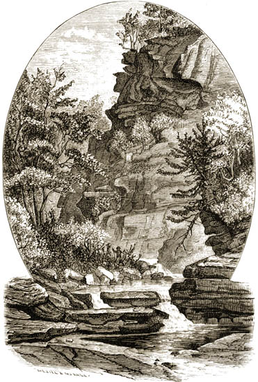 Cliff In Artist's Glen, Kaaterskill Clove