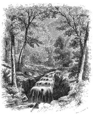 Cascade At Plattekill Clove