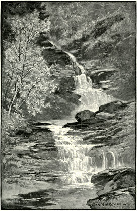 The Cascades Of Haines Falls 