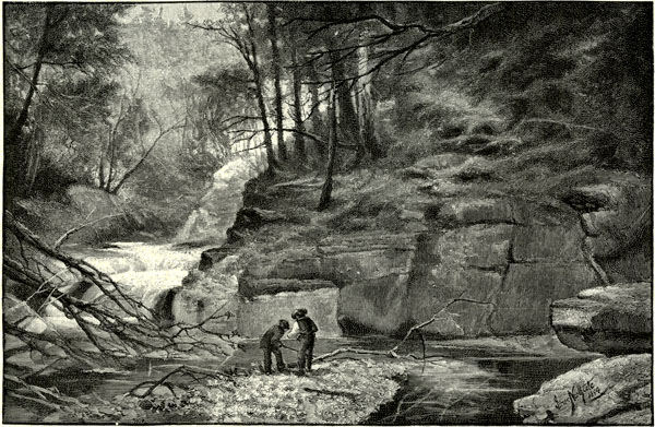 Belle Falls At Palenville