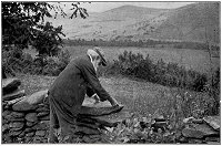 John Burroughs scattering corn for the chipmunks at Woodchuck Lodge