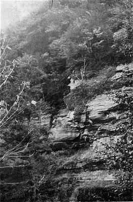 Profile Near Palenville